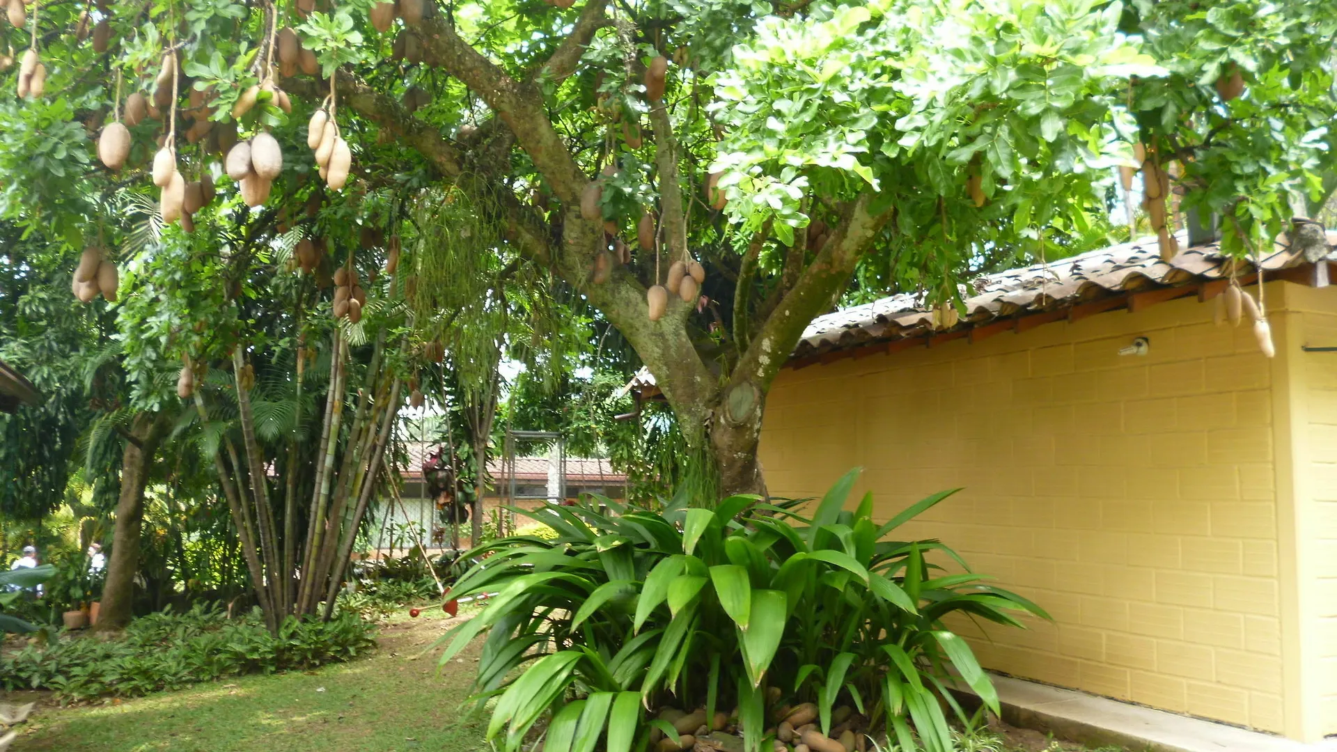 Hotel Poblado Campestre Medellín 3*,